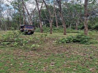 Agricultural Land for Sale in Kollam, Pathanapuram, Pattazhy vadakkekara