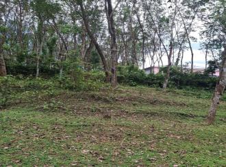 Agricultural Land for Sale in Kollam, Pathanapuram, Pattazhy vadakkekara
