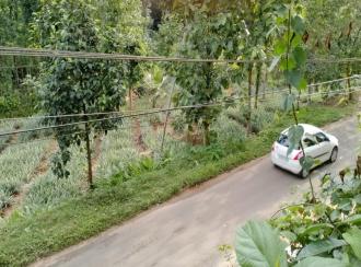 Commercial Land for SaleKottayam, Pala, Ramapuram