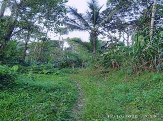 Residential Land for SaleWayanad, Wayanad, Wayanad