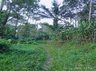 Residential Land for Sale in Wayanad, Wayanad, Wayanad, Ellumannam