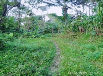 Residential Land for Sale in Wayanad, Wayanad, Wayanad, Ellumannam