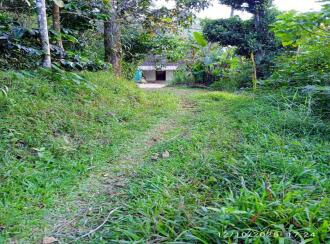 Residential Land for Sale in Wayanad, Wayanad, Wayanad, Ellumannam