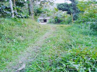Residential Land for Sale in Wayanad, Wayanad, Wayanad, Ellumannam