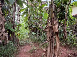 Residential Land for Sale in Pathanamthitta, Thiruvalla, Kuttapuzha