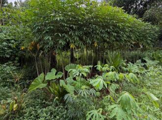 Residential Land for Sale in Pathanamthitta, Thiruvalla, Kuttapuzha