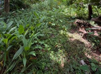 Residential Land for Sale in Pathanamthitta, Thiruvalla, Kuttapuzha