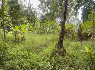 Residential Land for Sale in Thrissur, Amballoor, Paaliyekkara, Pulakkattukara
