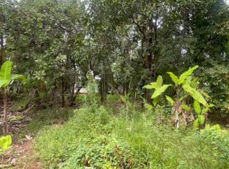 Residential Land for Sale in Thrissur, Amballoor, Paaliyekkara, Pulakkattukara