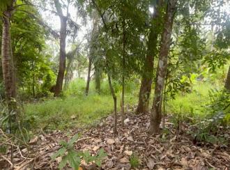Residential Land for Sale in Thrissur, Amballoor, Paaliyekkara, Pulakkattukara