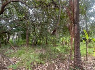 Residential Land for Sale in Thrissur, Amballoor, Paaliyekkara, Pulakkattukara