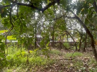 Residential Land for Sale in Thrissur, Amballoor, Paaliyekkara, Pulakkattukara