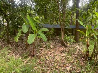 Residential Land for Sale in Thrissur, Amballoor, Paaliyekkara, Pulakkattukara