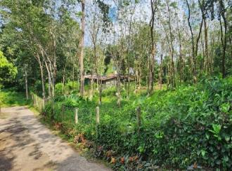 Residential Land, Kottayam