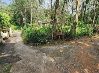 Residential Land for Sale in Kottayam, Ettumanoor, Kanakkary