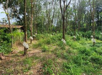 Residential Land for Sale in Kottayam, Ettumanoor, Kanakkary