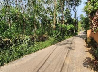 Residential Land for Sale in Kottayam, Ettumanoor, Kanakkary