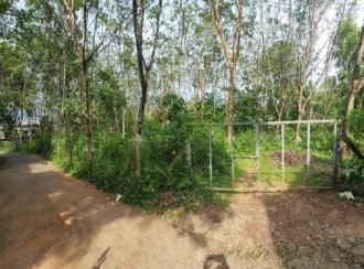 Residential Land for Sale in Kottayam, Ettumanoor, Kanakkary