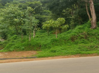 Commercial Land for SaleIdukki, Munnar, Anachal