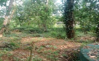 Residential Land for SaleThrissur, Kunnamkulam, Kunnamkulam Town