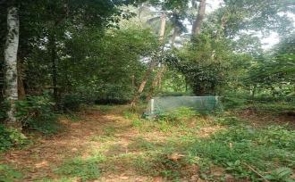 Residential Land for Sale in Thrissur, Kunnamkulam, Kunnamkulam Town