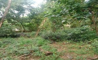 Residential Land for Sale in Thrissur, Kunnamkulam, Kunnamkulam Town