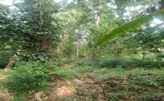 Residential Land for Sale in Thrissur, Kunnamkulam, Kunnamkulam Town