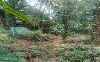 Residential Land for Sale in Thrissur, Kunnamkulam, Kunnamkulam Town