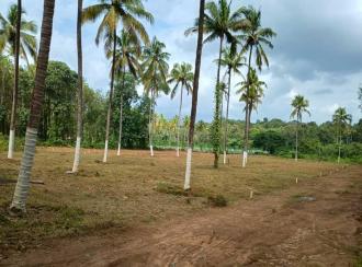 Residential Land, Thrissur