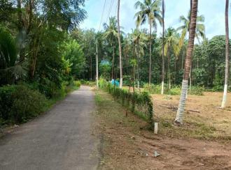 Residential Land for Sale in Thrissur, Amballoor, Varakkara