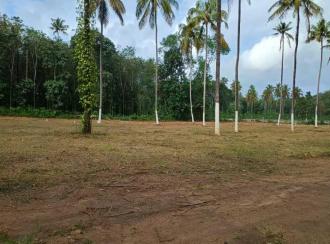 Residential Land for Sale in Thrissur, Amballoor, Varakkara