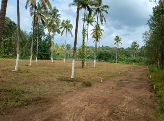 Residential Land for Sale in Thrissur, Amballoor, Varakkara