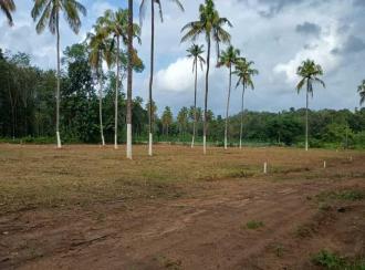 Residential Land for Sale in Thrissur, Amballoor, Varakkara