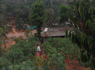 Residential Land for Sale in Idukki, Adimali, 14 mile - valara