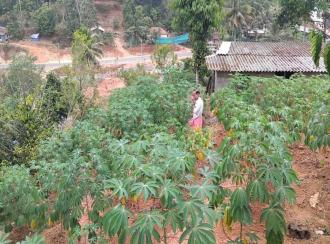 Residential Land for Sale in Idukki, Adimali, 14 mile - valara