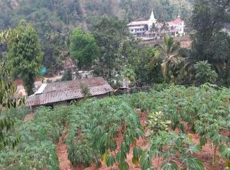 Residential Land for Sale