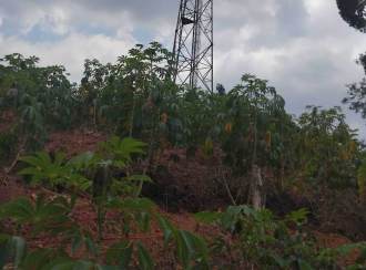 Residential Land for Sale in Idukki, Adimali, 14 mile - valara