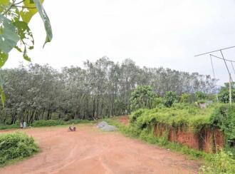 Residential Land for Sale in Palakkad, Mannarkkad, Alanallur, Chundottukunnu Govt L P School, Alanallur
