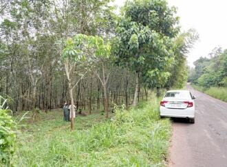 Residential Land for Sale in Palakkad, Mannarkkad, Alanallur, Chundottukunnu Govt L P School, Alanallur