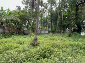 Residential Land for Sale in Thrissur, Ollur, Ollur