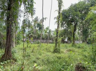 Residential Land for Sale in Thrissur, Ollur, Ollur