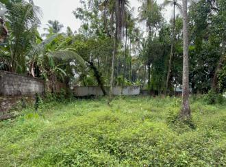 Residential Land for Sale in Thrissur, Ollur, Ollur