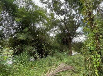 Residential Land for Sale in Thrissur, Ollur, Ollur