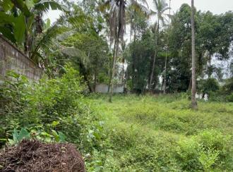 Residential Land for Sale in Thrissur, Ollur, Ollur