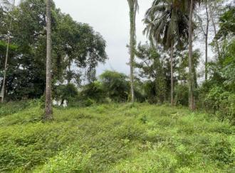Residential Land for Sale in Thrissur, Ollur, Ollur