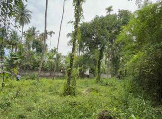 Residential Land for Sale in Thrissur, Ollur, Ollur
