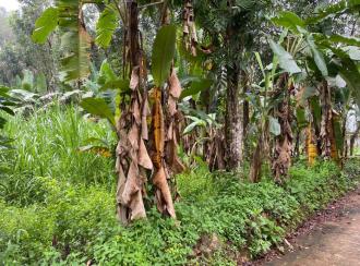 Residential Land for Sale