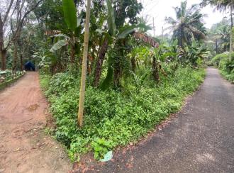 Residential Land for Sale in Ernakulam, Muvattupuzha, Vazhakulam