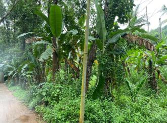 Residential Land for Sale in Ernakulam, Muvattupuzha, Vazhakulam