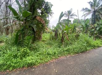 Residential Land for Sale in Ernakulam, Muvattupuzha, Vazhakulam